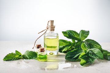 Peppermint essential oil and fresh mint leaves.