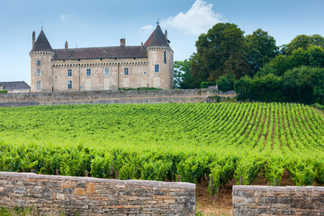 Fototapeta na wymiar Chateau de Rully with vineyards, Burgundy, France
