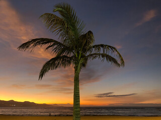 Fototapeta na wymiar Sunset with a palmtree at Las Canteras beach
