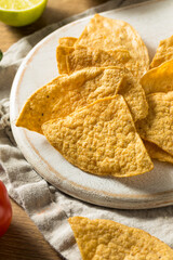 Homemade Tortillas Chips with Salsa and Guacamole