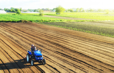 Farmer on a tractor cultivates a farm field. Grinding and loosening soil, removing plants and roots...