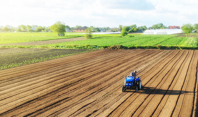 A farmer on a tractor processes a farm field. Cultivating land soil for further planting. Loosening, improving soil quality. Food production on vegetable plantations. Farming and agriculture.