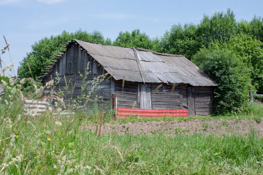 an old wooden barn in a field. summer.