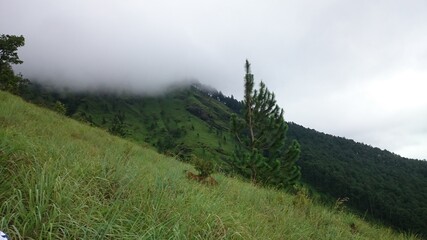 mountain with mist in the morning