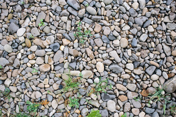 Many small stones. Beach with stones and green grass. Pebble stones. 