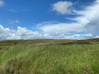 Fototapeta premium Long grasses on the moor, with Cowling Pinnacle, on the horizon in, Cowling, Keighley, UK