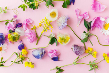 Floral ice cubes and fresh summer flowers flat lay. Colorful wildflowers in frozen ice hearts on pink background. Hello summer concept. Creative bright image