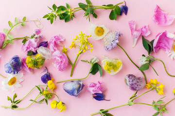 Hello summer concept. Floral ice cubes and fresh summer flowers flat lay. Colorful wildflowers in frozen ice hearts on pink background. Creative bright image