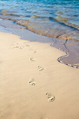 Vertical photo of a sunny beach with the waves arriving