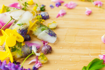 Floral Ice Pops and fresh summer flowers with space for text. Colorful wildflowers in melting ice...