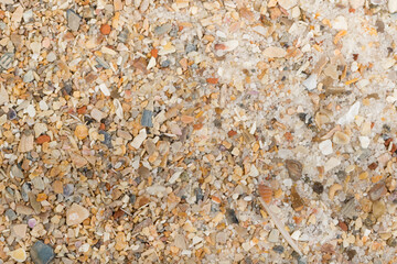 Mixture of Sand and Shells for Bird and Parrots bottom cage. Texture pattern close up detail macro. Abstract background.