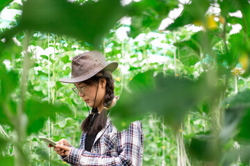 The smart farmer owner is inspecting his garden using a smartphone.