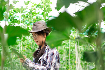 Smart farmer of the garden is looking at the garden and its produce.