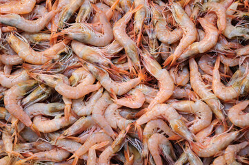 Top view lots of fresh prawns, background.