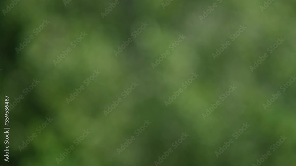 Poster abstract background with bokeh. out of soft defocus appear beautiful green nature background. the wi