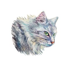 Watercolor cat. Portrait of gray kitten isolated on white background. Design element.  Template for card, posters, board. 