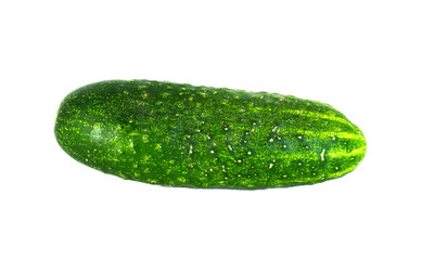 One bright green cucumber on white background