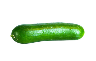 One bright green cucumber on white background
