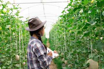 Obraz premium smart farmer using technology in an agriculture field, She was watching the produce from her garden, her checking by using notebook in farm field.