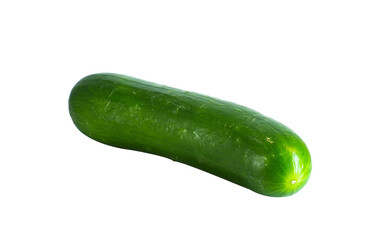 One bright green cucumber on white background