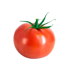 One ripe bright red tomato with green tail on white background