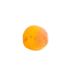 One whole ripe orange apricot on white background
