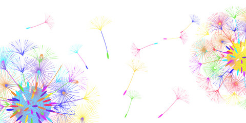 Dandelion background.