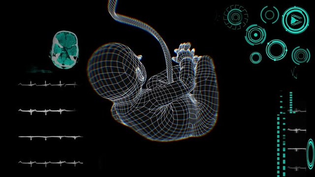 medical Interface, unborn child in the womb 3D render