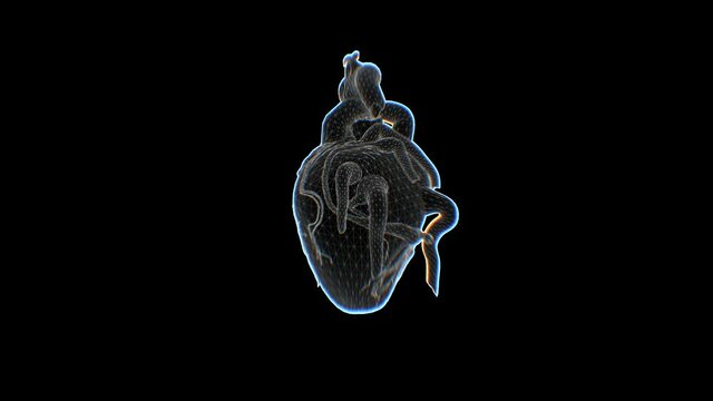 a beating heart on a black background 3D render