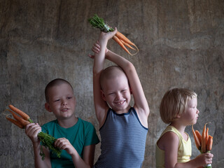 Three blond children eat young carrot in bundle tied with thread. boys are happy to receive their...