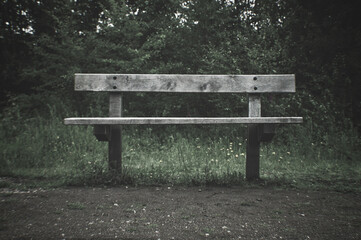 A lone bench in the forest