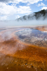 Steam rises from Grand Prismatic Pool.