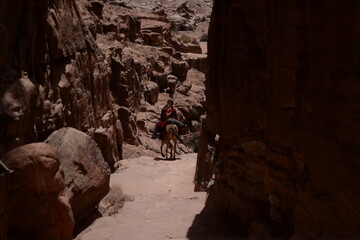 on the road to petra