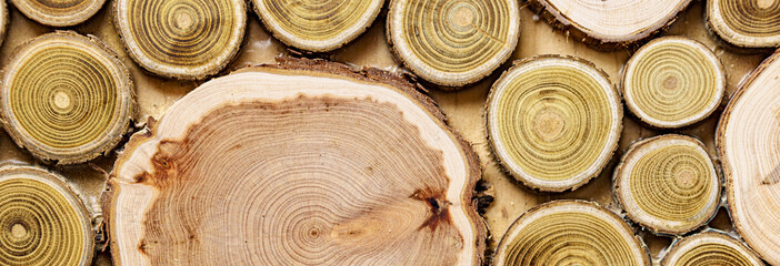 Screensavers, backgrounds, textures, woodworking concept - a wooden background made of cut tree...