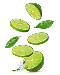 Falling lime pieces isolated on white background