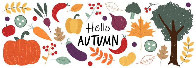 Hand drawn autumn leaves and berries horizontal banner background in doodle style and traditional colors