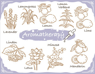 背景やバナーに使える レモンのスケッチ風イラスト ベクター画像 Wall Mural 夏妃 吉野