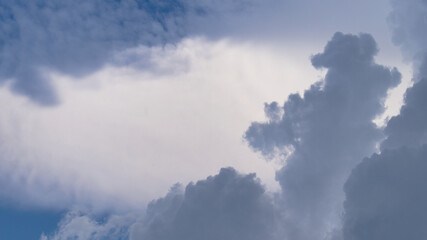 Naklejka na ściany i meble Background of large summer Cumulus clouds