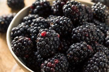Raw Organic Fresh Blackberries