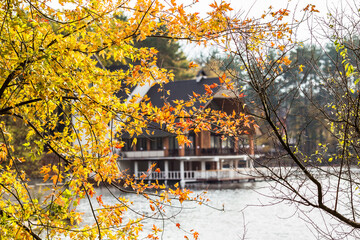 autumn in the city park