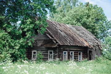 Fototapeta na wymiar Old, collapsing, wooden rustic abandoned house among trees on a summer day and grass around