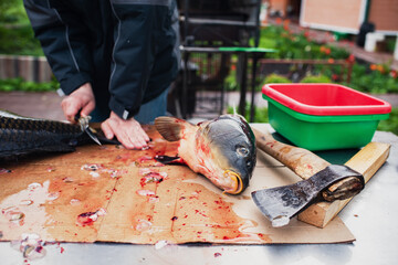Fresh big carp on table without of head. Preparation a fish. Fish head
