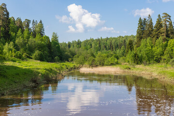 Fototapeta na wymiar Landscape with a small river in a summer forest, sunny day