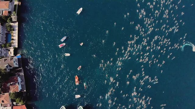 Aerial footage of people swimming between Europe and Asia. Bosphorus Intercontinental Race 2019, Istanbul 4K