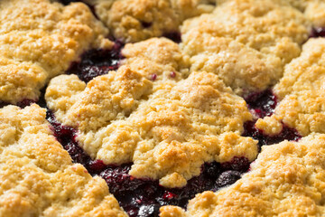 Homemade Berry Cobbler with Ice Cream