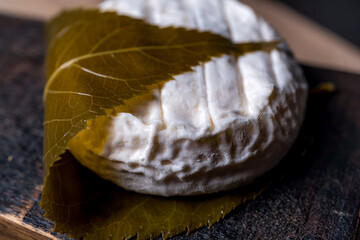Cheese Delight of Tokyo, leaf decorated. French natural product. Set elements. 