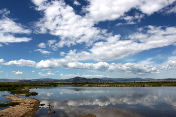 Lake scene in Montana with reflections of dynamic blue skies with clouds