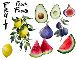 
watercolor fruit