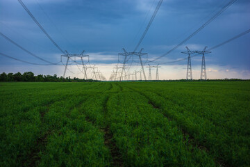  high-voltage power lines at sunset. greeb field.