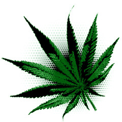 Cannabis leaf image halftone dots vector